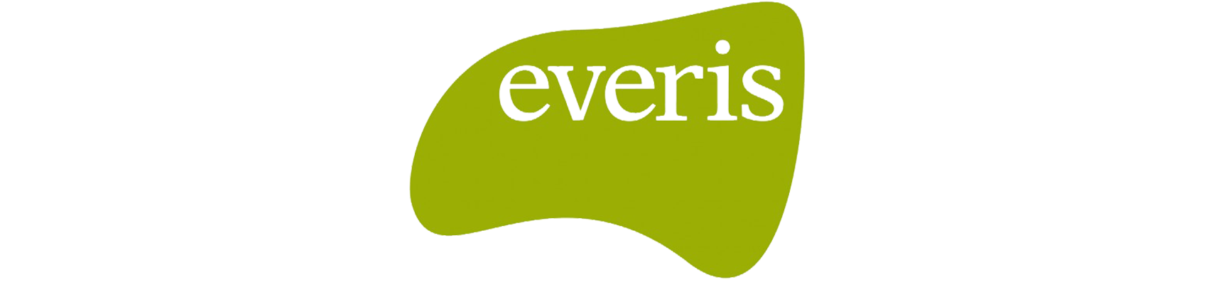 everis-684x513